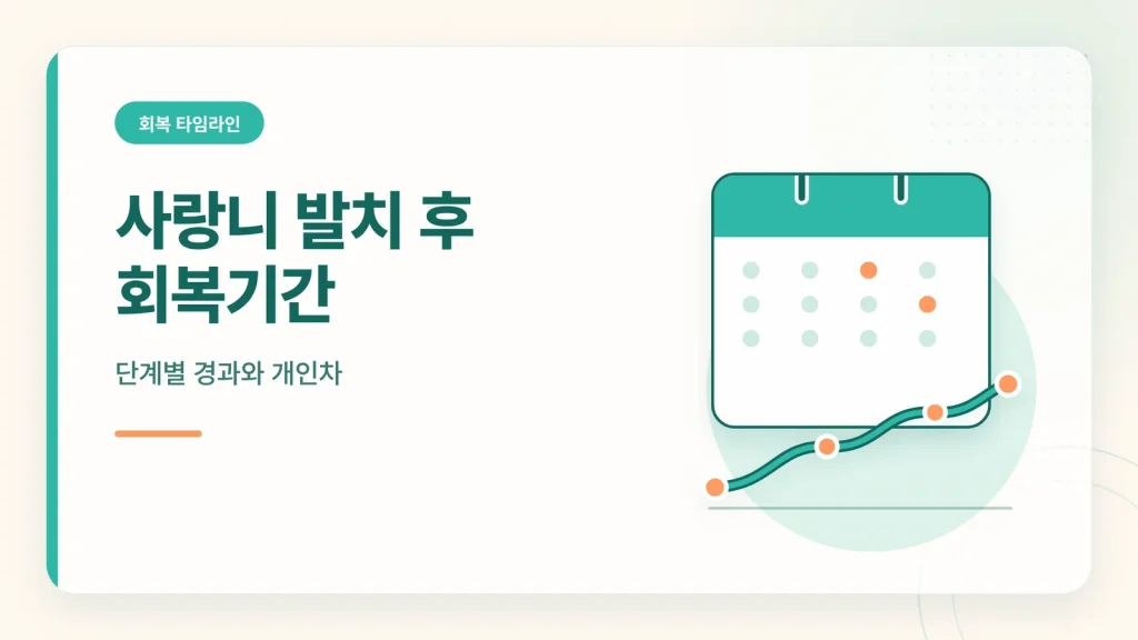 사랑니 발치 후 식사 회복 관리 안내 이미지