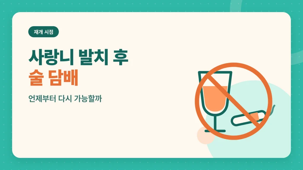 사랑니 발치 후 식사 회복 관리 안내 이미지