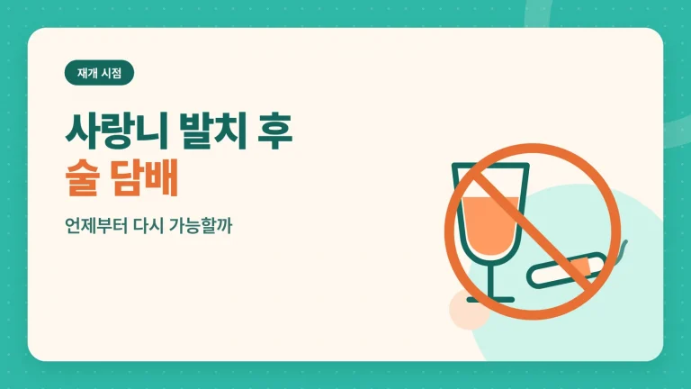 사랑니 발치 후 술 담배 썸네일