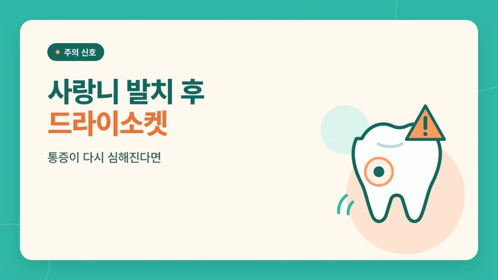 사랑니 발치 후 식사 회복 관리 안내 이미지